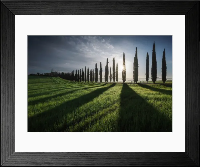 Framed Print : Spring sunrise at Poggio Covili with the sun peaking through the cypress trees in Val d'Orcia, Tuscany, Italy Framed Print : Spring sunrise at Poggio Covili with the sun peaking through the cypress trees in Val d'Orcia, Tuscany, Italy