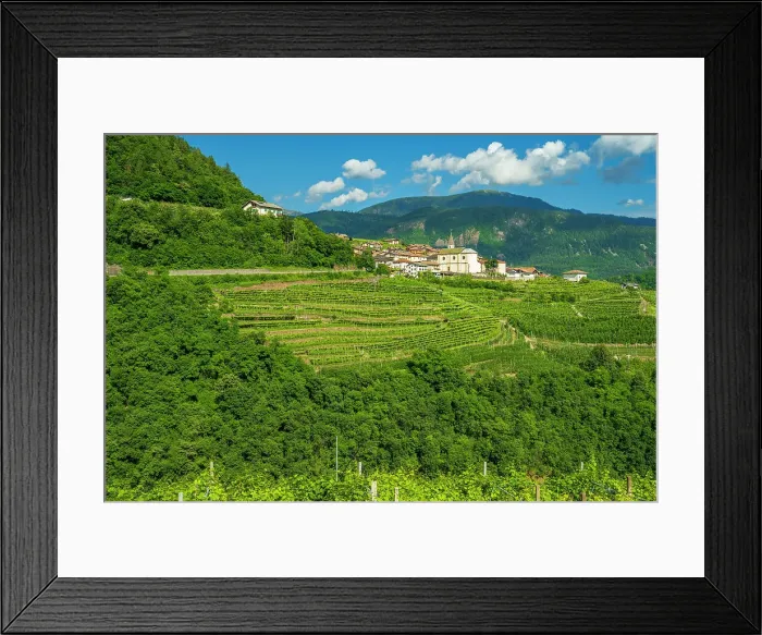 Framed Print : Europe, Italy, Trentino. The village of Cembra in the Cembra Valley surrounded by the famous vertical vineyards Framed Print : Europe, Italy, Trentino. The village of Cembra in the Cembra Valley surrounded by the famous vertical vineyards