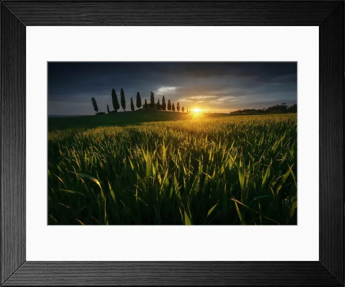 Framed Print : The Podere I Cipressini getting the first light of the day during a spring sunrise. Val d'Orcia, Tuscany, Italy Framed Print : The Podere I Cipressini getting the first light of the day during a spring sunrise. Val d'Orcia, Tuscany, Italy