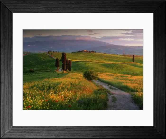 Framed Print : Poppies and canola flowers with the Podere Terrapille (Gladiator House) in the background. Val d'Orcia, Tuscany, Italy Framed Print : Poppies and canola flowers with the Podere Terrapille (Gladiator House) in the background. Val d'Orcia, Tuscany, Italy