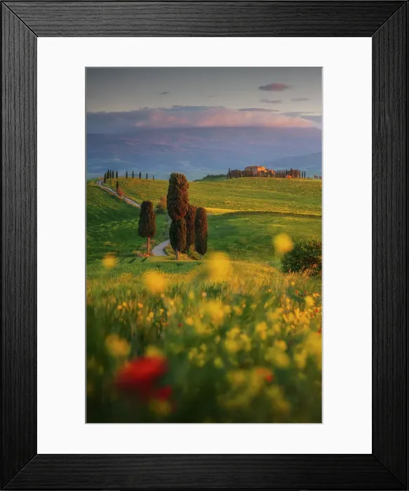 Framed Print : Poppies and canola flowers with the Podere Terrapille (Gladiator House) in the background. Val d'Orcia, Tuscany, Italy Framed Print : Poppies and canola flowers with the Podere Terrapille (Gladiator House) in the background. Val d'Orcia, Tuscany, Italy