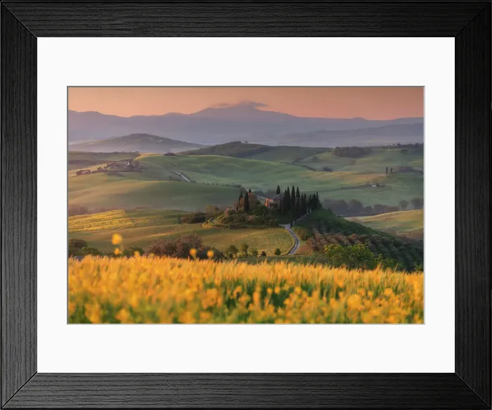 Framed Print : Spring sunrise with canola flowers over the iconic Podere Belvedere in Val d'Orcia, Tuscany, Italy Framed Print : Spring sunrise with canola flowers over the iconic Podere Belvedere in Val d'Orcia, Tuscany, Italy