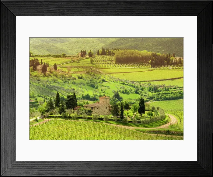 Framed Print : Vinyards Panzano, Chianti Region, central Tuscany, Italy Framed Print : Vinyards Panzano, Chianti Region, central Tuscany, Italy