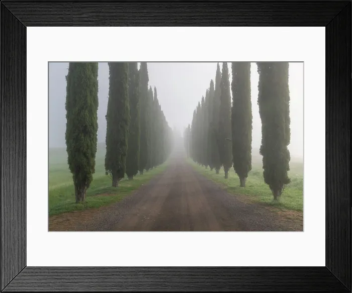 Framed Print : A foggy morning at Poggio Covili, with the iconic straight line of cypress trees. Val d'Orcia, Tuscany, Italy Framed Print : A foggy morning at Poggio Covili, with the iconic straight line of cypress trees. Val d'Orcia, Tuscany, Italy