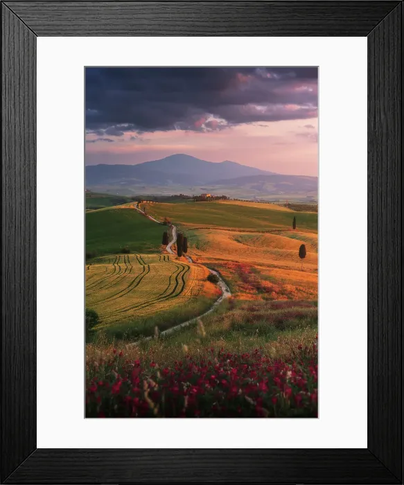 Framed Print : An explosive spring sunset over the Gladiator House (Podere Terrapille) in Val d'Orcia, Tuscany, Italy Framed Print : An explosive spring sunset over the Gladiator House (Podere Terrapille) in Val d'Orcia, Tuscany, Italy