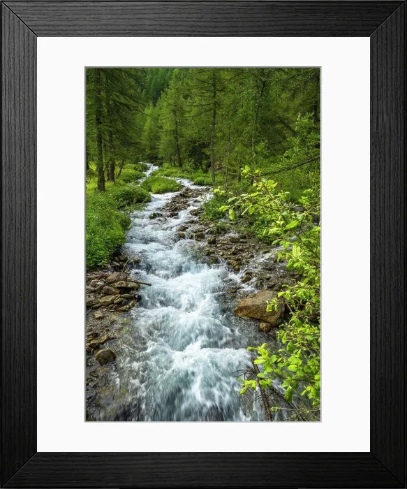 Framed Print : Europe, Italy, Aosta Valley. A little mountain creek in the Val Ferret near to the Mount Blanc Massiv Framed Print : Europe, Italy, Aosta Valley. A little mountain creek in the Val Ferret near to the Mount Blanc Massiv
