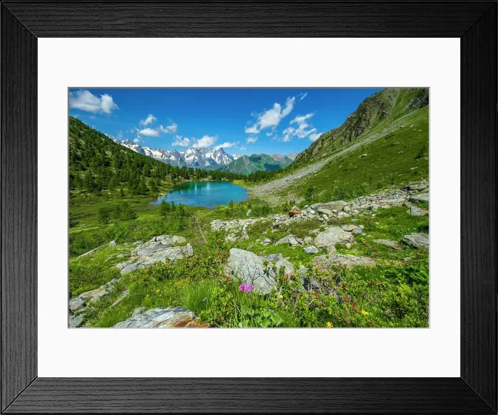 Framed Print : Europe, Italy, Aosta Valley. The lake Arpy surrounded by flowering meadows. in the background the Mont Blanc Massif Framed Print : Europe, Italy, Aosta Valley. The lake Arpy surrounded by flowering meadows. in the background the Mont Blanc Massif