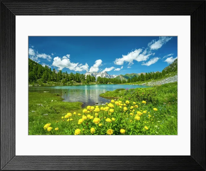 Framed Print : Europe, Italy, Aosta Valley. The lake Arpy surrounded by flowering meadows. in the background the Mont Blanc Massif Framed Print : Europe, Italy, Aosta Valley. The lake Arpy surrounded by flowering meadows. in the background the Mont Blanc Massif