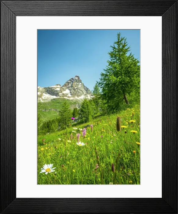 Framed Print : Europe, Italy, Aosta Valley. The iconic Matterhorn seen from a hiking path near to Breuil-Cervinia Framed Print : Europe, Italy, Aosta Valley. The iconic Matterhorn seen from a hiking path near to Breuil-Cervinia