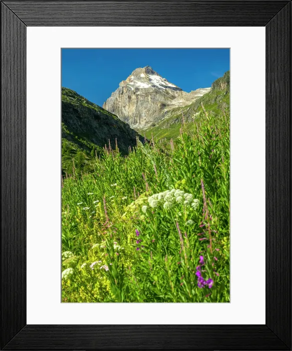 Framed Print : Europe, Italy, Aosta Valley. View towards the peak Granta Parey from the hike to the Benevolo Rifugio Framed Print : Europe, Italy, Aosta Valley. View towards the peak Granta Parey from the hike to the Benevolo Rifugio