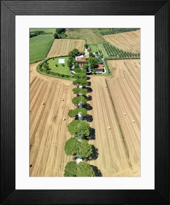 Framed Print : Aerial View over Pine Trees Leading to Villa, Umbria, Italy Framed Print : Aerial View over Pine Trees Leading to Villa, Umbria, Italy