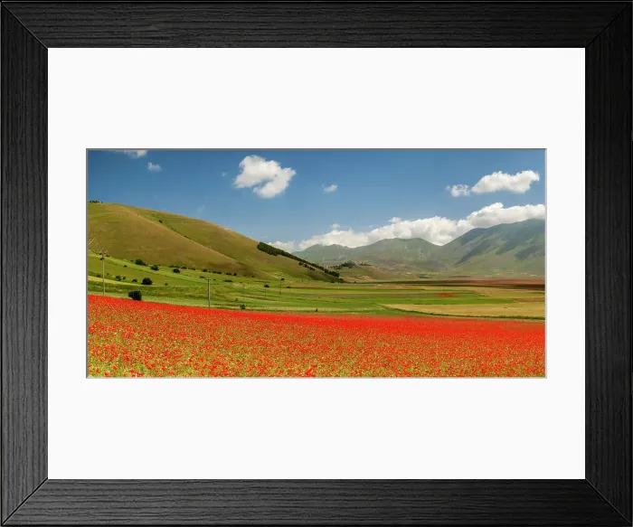 Framed Print : Wildflowers on Piano Grande, Sibillini National Park, Umbria, Italy Framed Print : Wildflowers on Piano Grande, Sibillini National Park, Umbria, Italy