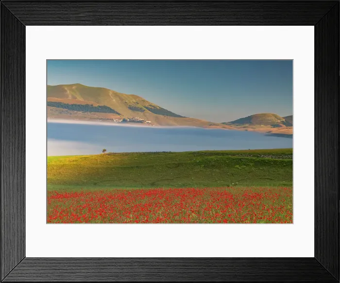 Framed Print : Dawn Mist over Wildflowers on Piano Grande, Sibillini Mountains National Park, Umbria, Italy Framed Print : Dawn Mist over Wildflowers on Piano Grande, Sibillini Mountains National Park, Umbria, Italy