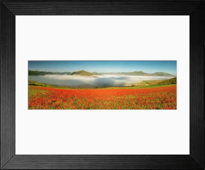 Framed Print : Dawn Mist over Wildflowers on Piano Grande, Sibillini Mountains National Park, Umbria, Italy Framed Print : Dawn Mist over Wildflowers on Piano Grande, Sibillini Mountains National Park, Umbria, Italy