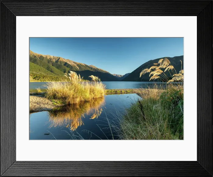 Framed Print : Pampas Grass along Lake Rotoiti, South Island, New Zealand Framed Print : Pampas Grass along Lake Rotoiti, South Island, New Zealand