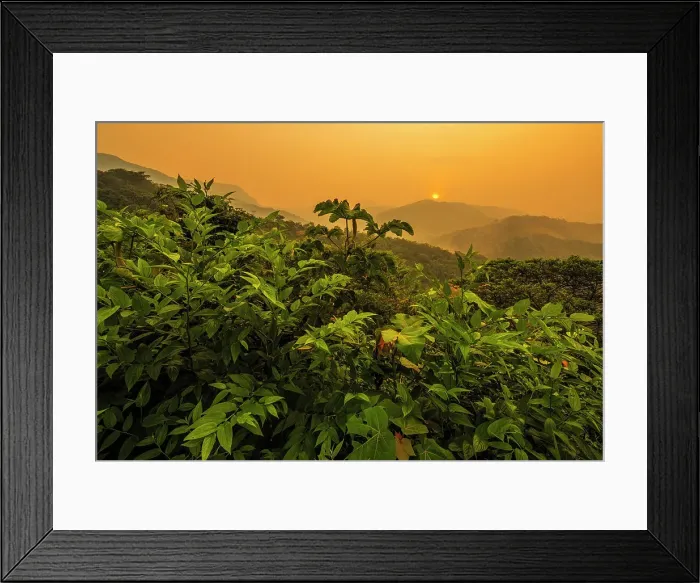 Framed Print : Sunrise over the foothills of the Andes Mountains in Amazonian Rainforest in the Cordillera Escalera near Tarapoto, Peru Framed Print : Sunrise over the foothills of the Andes Mountains in Amazonian Rainforest in the Cordillera Escalera near Tarapoto, Peru