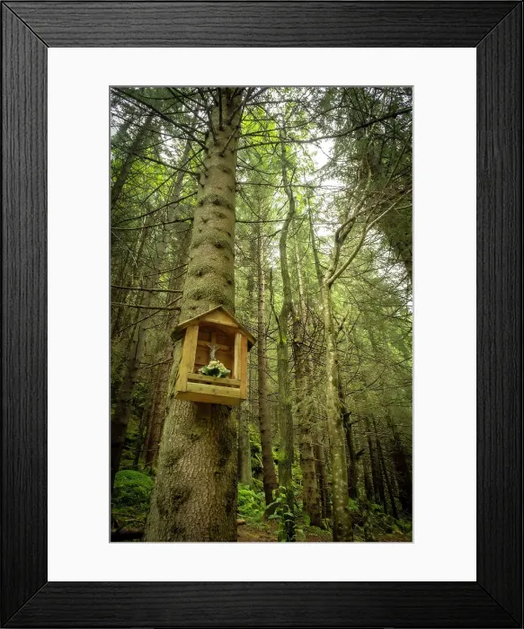 Framed Print : Tatra National Park near Zakopane, Tatra Mountains, Lesser Poland, Poland Framed Print : Tatra National Park near Zakopane, Tatra Mountains, Lesser Poland, Poland