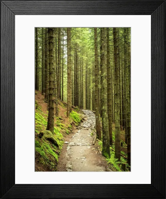 Framed Print : Tatra National Park near Zakopane, Tatra Mountains, Lesser Poland, Poland Framed Print : Tatra National Park near Zakopane, Tatra Mountains, Lesser Poland, Poland