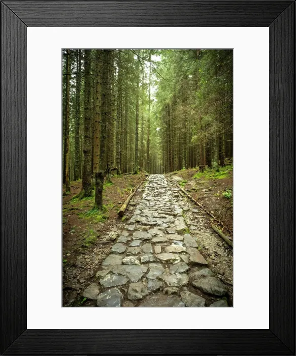 Framed Print : Tatra National Park near Zakopane, Tatra Mountains, Lesser Poland, Poland Framed Print : Tatra National Park near Zakopane, Tatra Mountains, Lesser Poland, Poland