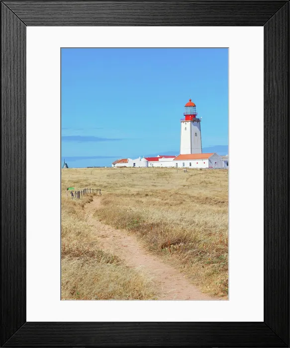 Framed Print : Lighthouse, Berlenga Grande Island, Portugal Framed Print : Lighthouse, Berlenga Grande Island, Portugal