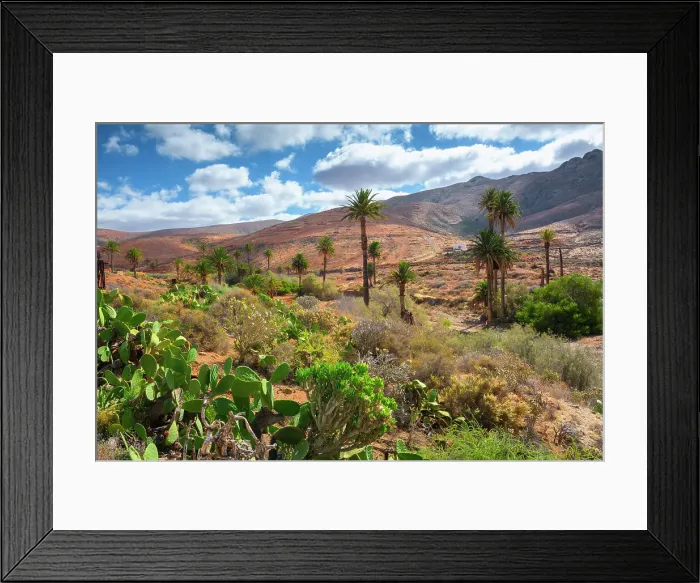 Framed Print : Barranco de Las Penitas or the Palm Valley, Fuerteventura, Canary Islands, Spain