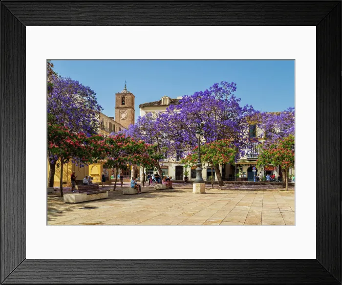 Framed Print : Plaza de la Merced, Malaga, Andalusia, Spain Framed Print : Plaza de la Merced, Malaga, Andalusia, Spain