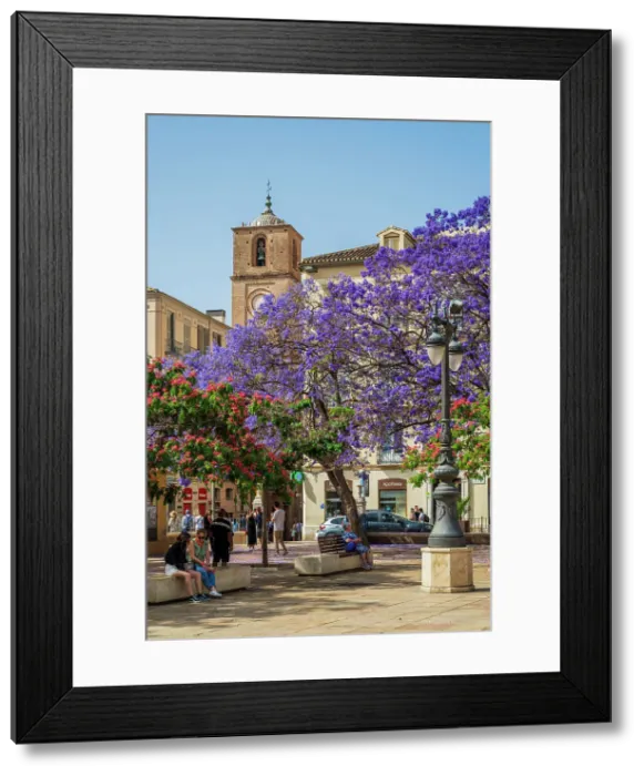 Framed Print : Plaza de la Merced, Malaga, Andalusia, Spain Framed Print : Plaza de la Merced, Malaga, Andalusia, Spain