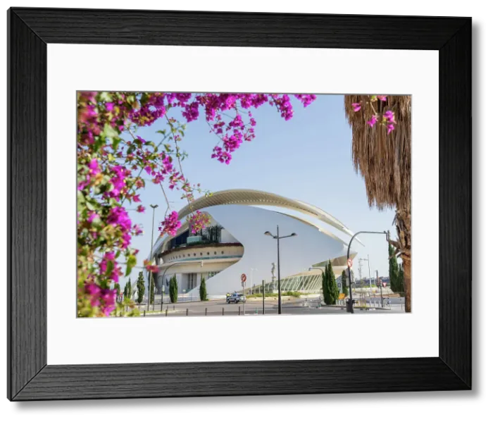 Framed Print : Palau de les Arts Reina Sofia or the Queen Sofia Palace of Arts at the City of Arts and Sciences, Valencia, Spain Framed Print : Palau de les Arts Reina Sofia or the Queen Sofia Palace of Arts at the City of Arts and Sciences, Valencia, Spain