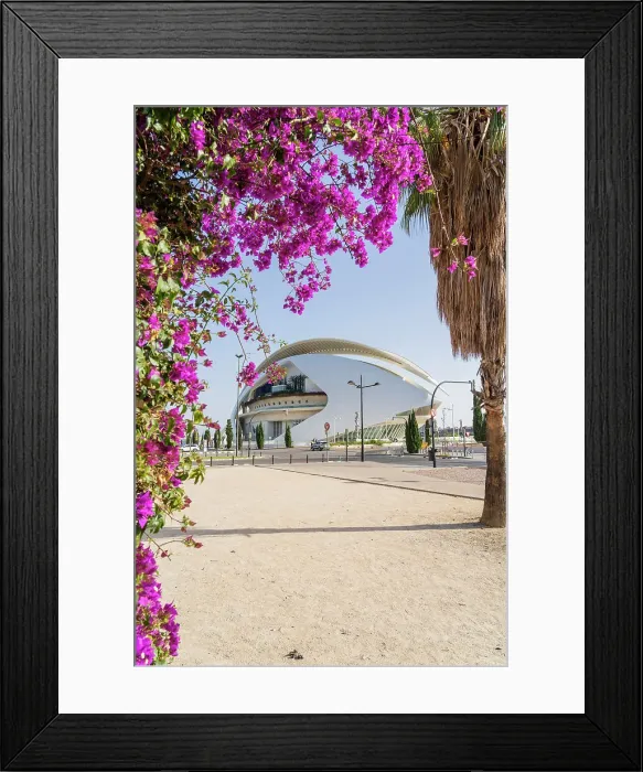 Framed Print : Palau de les Arts Reina Sofia or the Queen Sofia Palace of Arts at the City of Arts and Sciences, Valencia, Spain Framed Print : Palau de les Arts Reina Sofia or the Queen Sofia Palace of Arts at the City of Arts and Sciences, Valencia, Spain