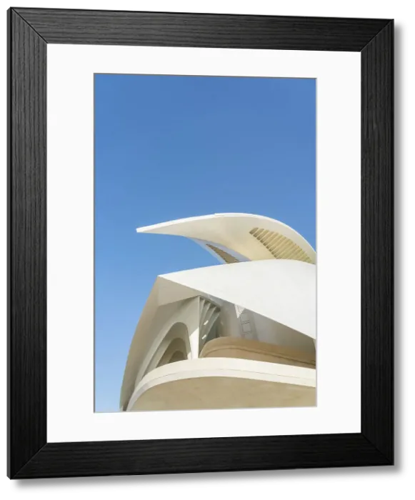 Framed Print : Palau de les Arts Reina Sofia or the Queen Sofia Palace of Arts at the City of Arts and Sciences, Valencia, Spain