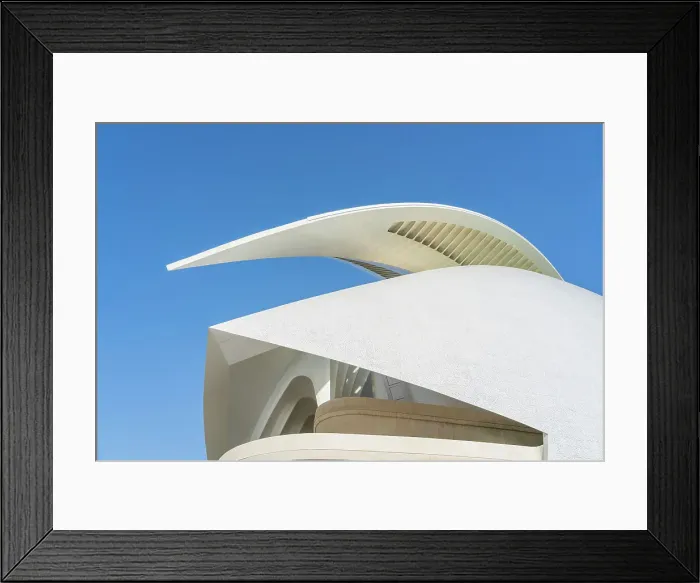 Framed Print : Palau de les Arts Reina Sofia or the Queen Sofia Palace of Arts at the City of Arts and Sciences, Valencia, Spain