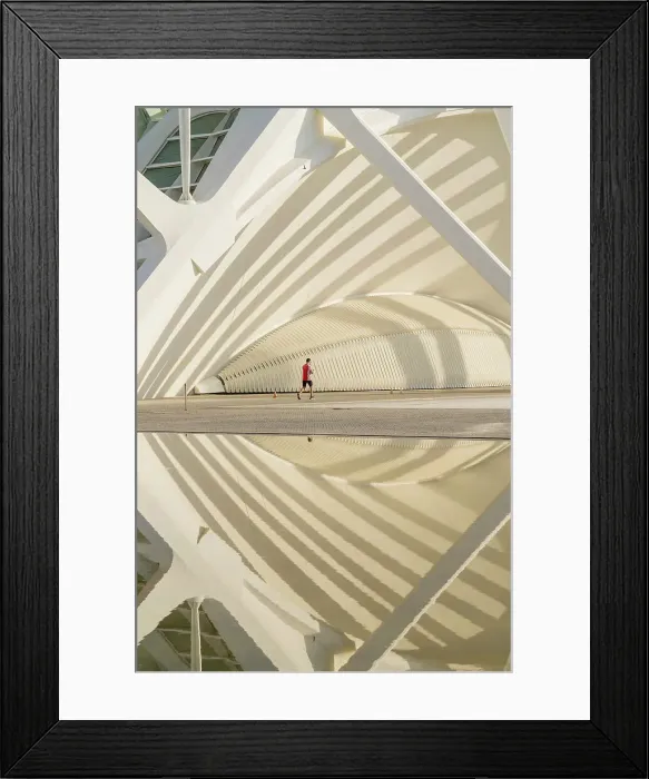Framed Print : The Museu de les Ciencies Principe Felipe or the The Science museum of Principe Felipe at the City of Arts and Sciences, Valencia, Spain Framed Print : The Museu de les Ciencies Principe Felipe or the The Science museum of Principe Felipe at the City of Arts and Sciences, Valencia, Spain