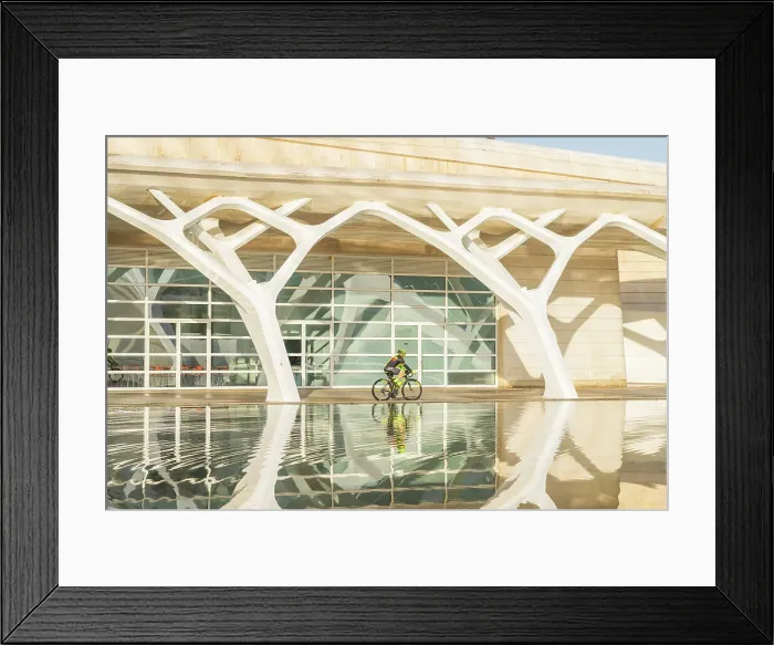 Framed Print : The City of Arts and Sciences, Valencia, Spain Framed Print : The City of Arts and Sciences, Valencia, Spain