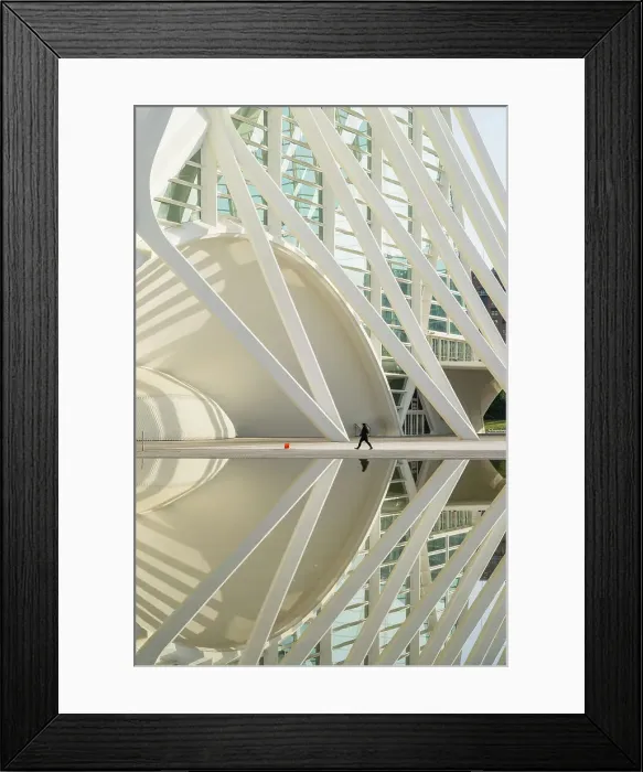 Framed Print : The Museu de les Ciencies Principe Felipe or the The Science museum of Principe Felipe at the City of Arts and Sciences, Valencia, Spain Framed Print : The Museu de les Ciencies Principe Felipe or the The Science museum of Principe Felipe at the City of Arts and Sciences, Valencia, Spain