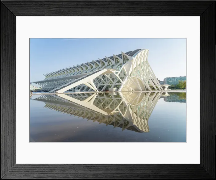 Framed Print : The Museu de les Ciencies Principe Felipe or the The Science museum of Principe Felipe at the City of Arts and Sciences, Valencia, Spain Framed Print : The Museu de les Ciencies Principe Felipe or the The Science museum of Principe Felipe at the City of Arts and Sciences, Valencia, Spain
