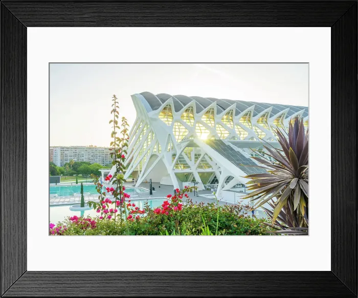 Framed Print : The Museu de les Ciencies Principe Felipe or the The Science museum of Principe Felipe at the City of Arts and Sciences, Valencia, Spain Framed Print : The Museu de les Ciencies Principe Felipe or the The Science museum of Principe Felipe at the City of Arts and Sciences, Valencia, Spain