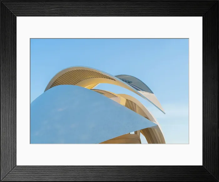 Framed Print : Palau de les Arts Reina Sofia or the Queen Sofia Palace of Arts at the City of Arts and Sciences, Valencia, Spain Framed Print : Palau de les Arts Reina Sofia or the Queen Sofia Palace of Arts at the City of Arts and Sciences, Valencia, Spain
