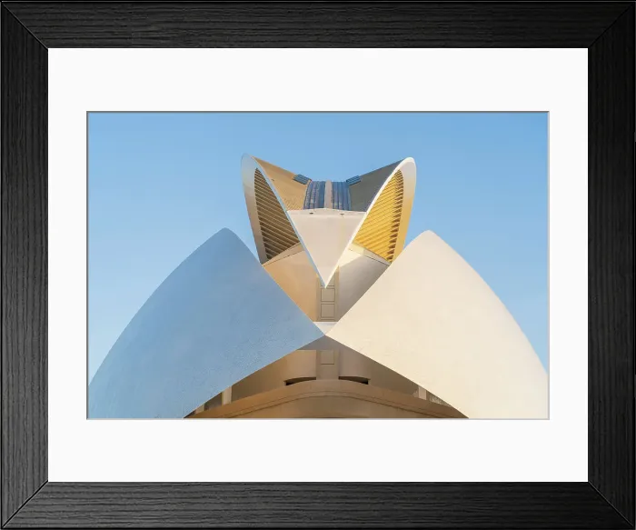 Framed Print : Palau de les Arts Reina Sofia or the Queen Sofia Palace of Arts at the City of Arts and Sciences, Valencia, Spain