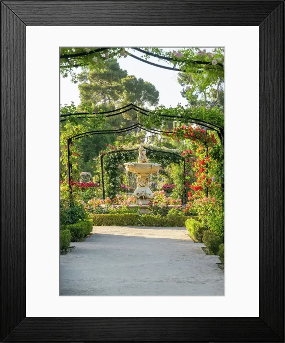 Framed Print : Rose Garden, El Retiro Park, Madrid, Spain Framed Print : Rose Garden, El Retiro Park, Madrid, Spain