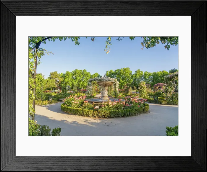 Framed Print : Rose Garden, El Retiro Park, Madrid, Spain Framed Print : Rose Garden, El Retiro Park, Madrid, Spain