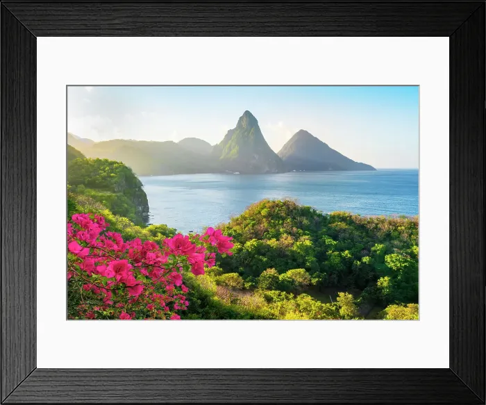 Framed Print : Stunning view of the Pitons (Petit Piton & Gros Piton) from an elevated viewpoint with the rainforest and bay of Soufriere in the foreground. Soufriere, Saint Lucia Framed Print : Stunning view of the Pitons (Petit Piton & Gros Piton) from an elevated viewpoint with the rainforest and bay of Soufriere in the foreground. Soufriere, Saint Lucia