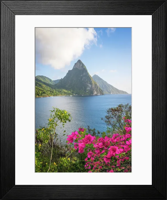 Framed Print : Stunning view of the Pitons (Petit Piton & Gros Piton) from an elevated viewpoint with the rainforest and bay of Soufriere in the foreground. Soufriere, Saint Lucia