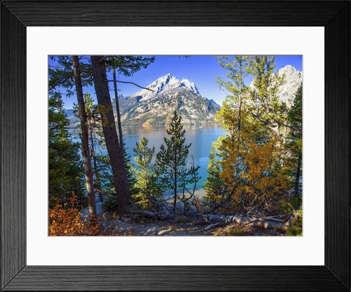 Framed Print : Jenny Lake in Autumn Grand Teton National Park Wyoming, USA