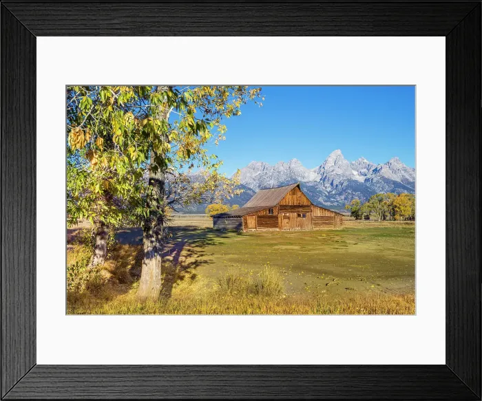 Framed Print : Moulton Barn, Mormon Row, Historic District in Autumn, Fall Foliage with Grand Teton Mountain Range in the Background Grand Teton National Park Wyoming, USA