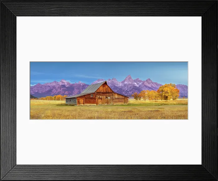 Framed Print : Before Sunrise Moulton Barn, Mormon Row, Historic District in Autumn, Fall Foliage with Grand Teton Mountain Range in the Background Grand Teton National Park Wyoming, USA