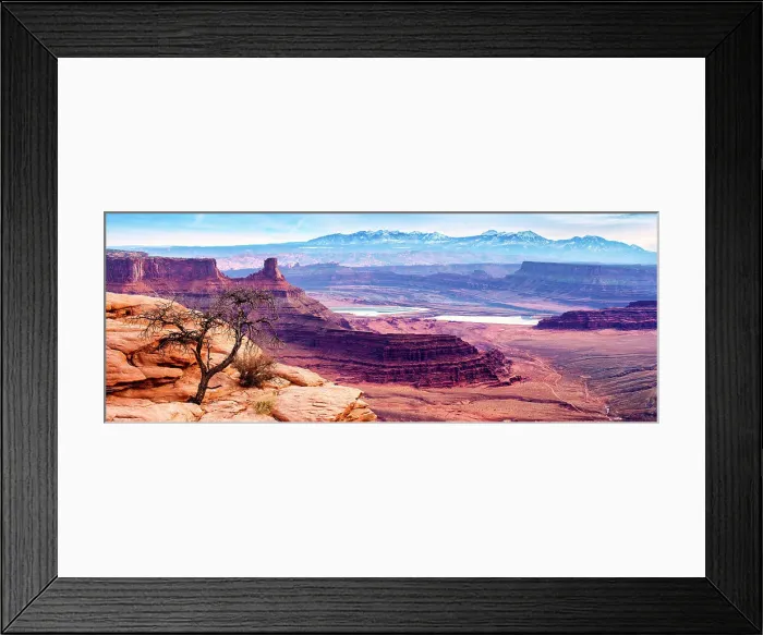 Framed Print : Desert Landscape, Dead Horse Point Park, Utah, USA Framed Print : Desert Landscape, Dead Horse Point Park, Utah, USA