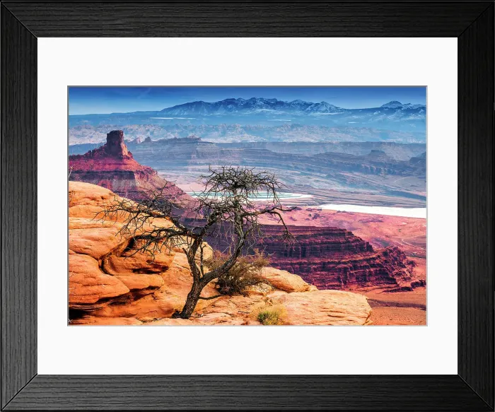 Framed Print : Desert Landscape, Dead Horse Point Park, Utah, USA Framed Print : Desert Landscape, Dead Horse Point Park, Utah, USA