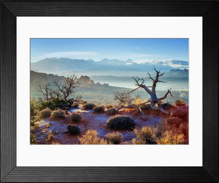 Framed Print : Desert Landscape, sunrise, Arches National Park, Utah, USA Framed Print : Desert Landscape, sunrise, Arches National Park, Utah, USA