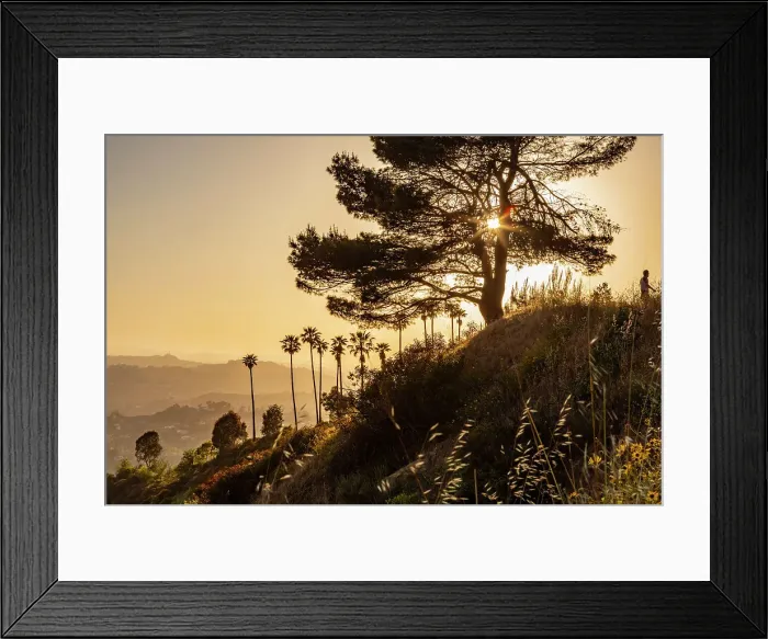 Framed Print : Griffith Park, Los Angeles, California, United States Framed Print : Griffith Park, Los Angeles, California, United States