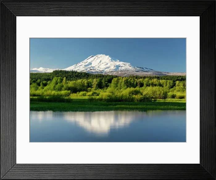 Framed Print : Mt. Adams Reflections, Near Trout Lake, Washington, USA Framed Print : Mt. Adams Reflections, Near Trout Lake, Washington, USA